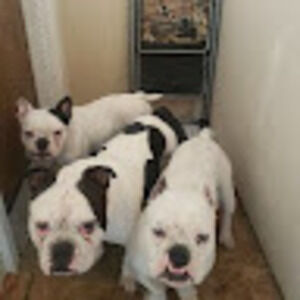 Meet your Posher, Miranda